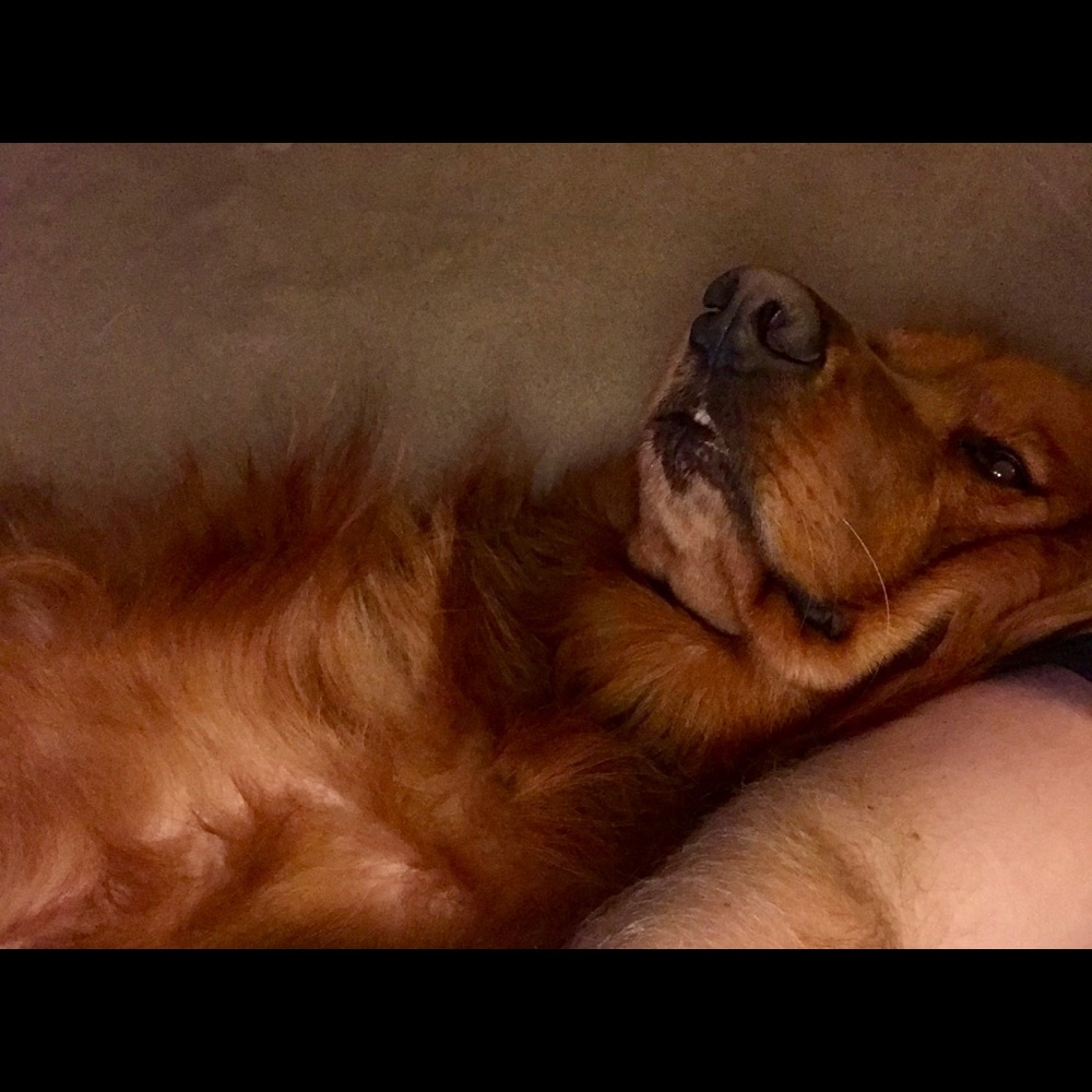 Meet your Posher, Steven